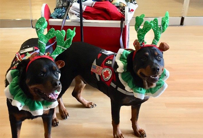 Holidays for Heroes
