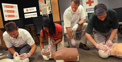 red cross cpr trainers