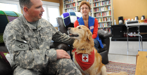 Service member, Red Cross volunteer sitting in chairs and a service dog.