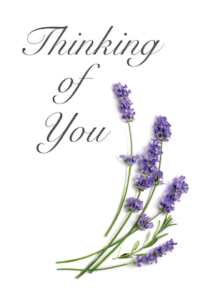 Image of tribute card featuring sprigs of lavendar with the text Thinking of You