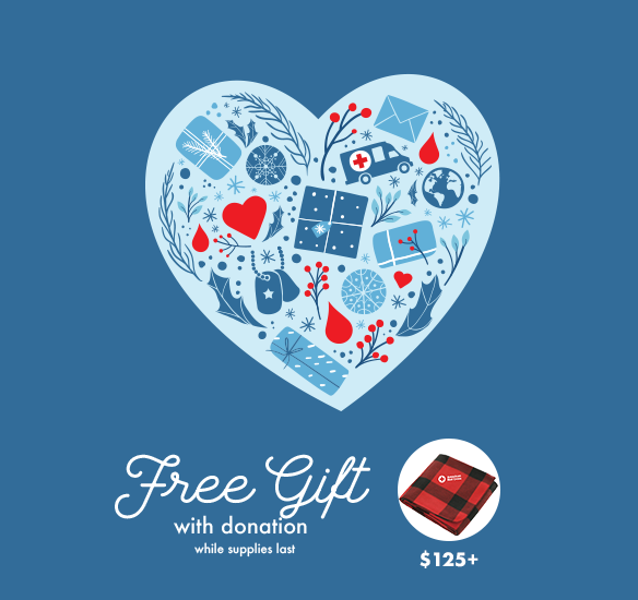 Free gift with donation while supplies last: $125+ for Buffalo Plaid Blanket