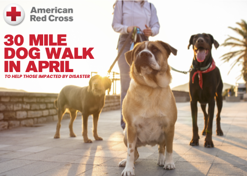 30 Mile Dog Walk Challenge in April to support those impacted by disaster