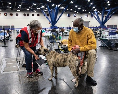 red cross volunteer with client and dog in shelter wearing masks