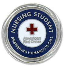 Earn Your Nursing Student Pin