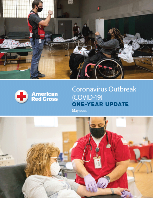 Red Cross COVID-19 one-year update report