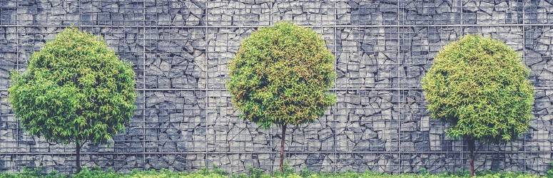 Trees spaced apart in a yard to prevent fire from spreading