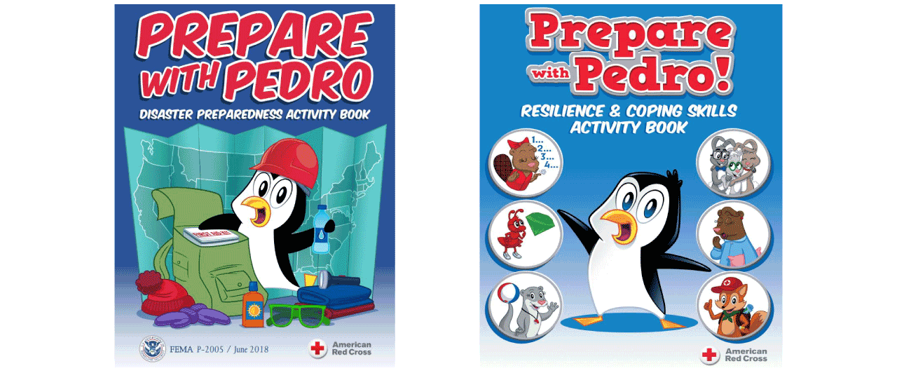 Two different types of Prepare with Pedro activity books
