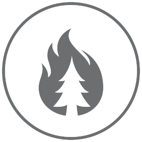 Wildfire icon