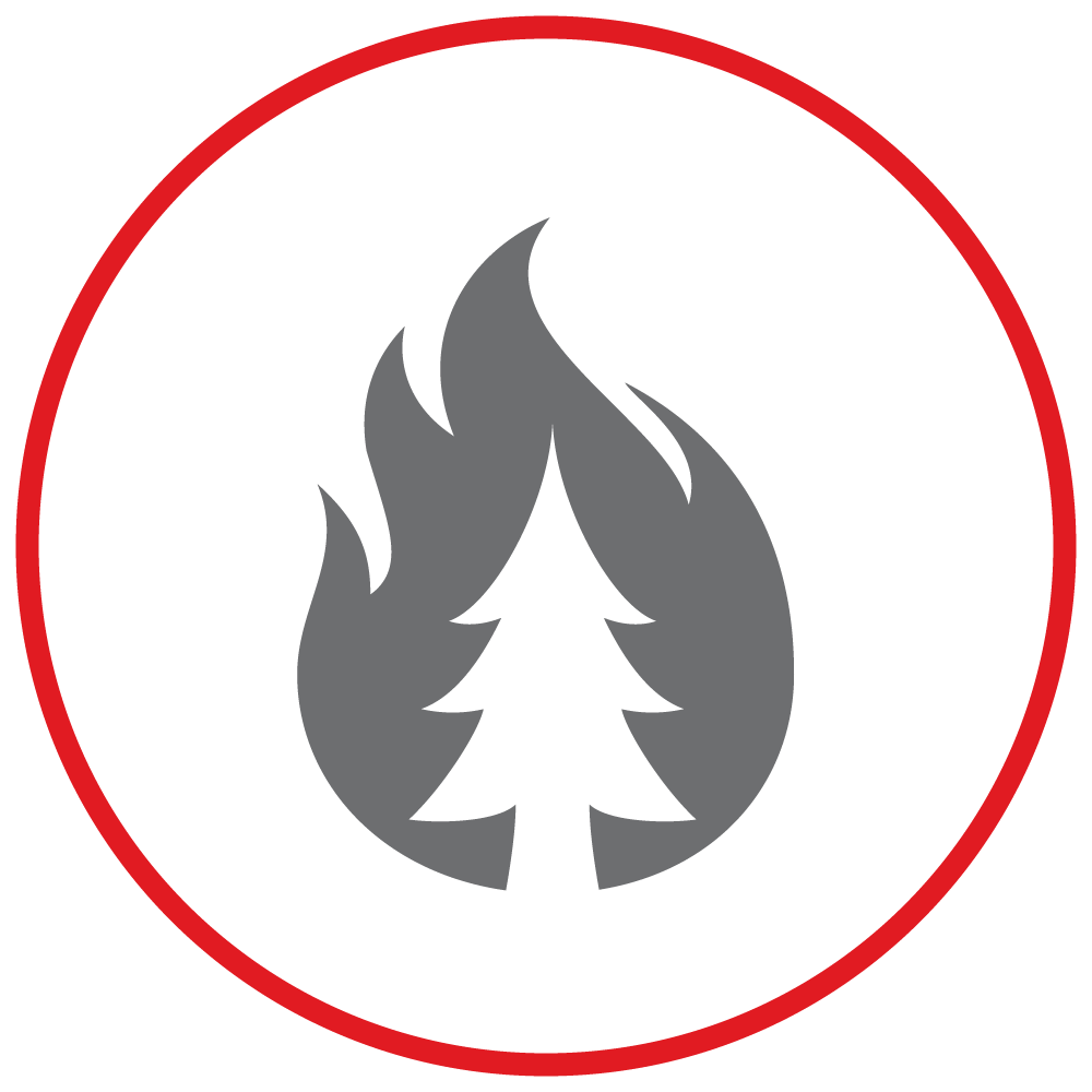 wildfire icon in red circle 
