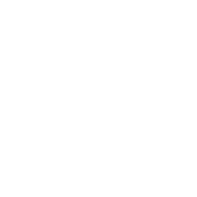 Smart phone icon