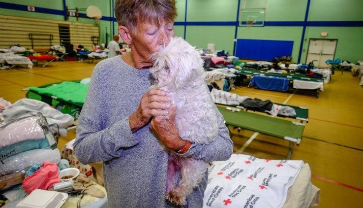 Diane Market with her dog, Chester