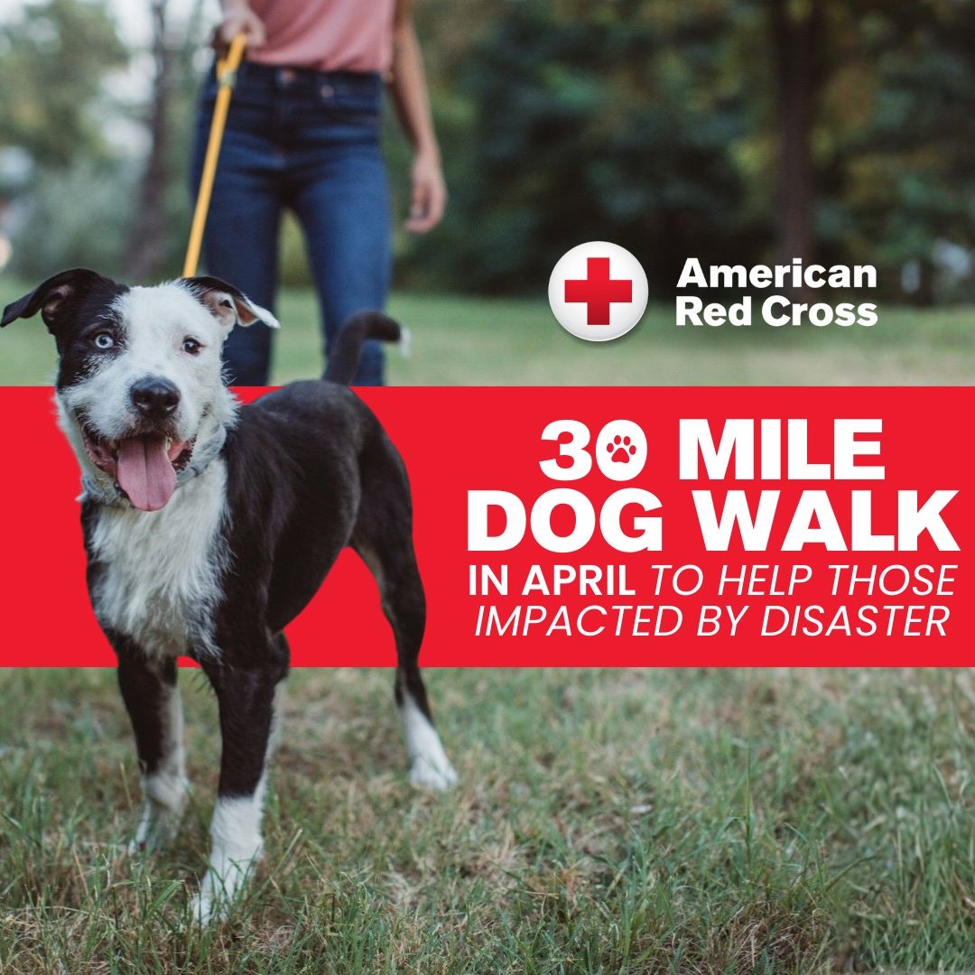 A person with a dog on a leash with text saying "American Red Cross 30 Mile Dog Walk"