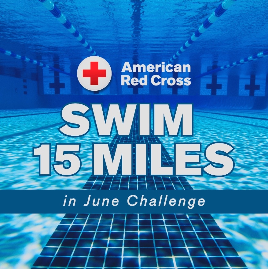 Photo of a pool beneath the water surface with lap lanes visible.