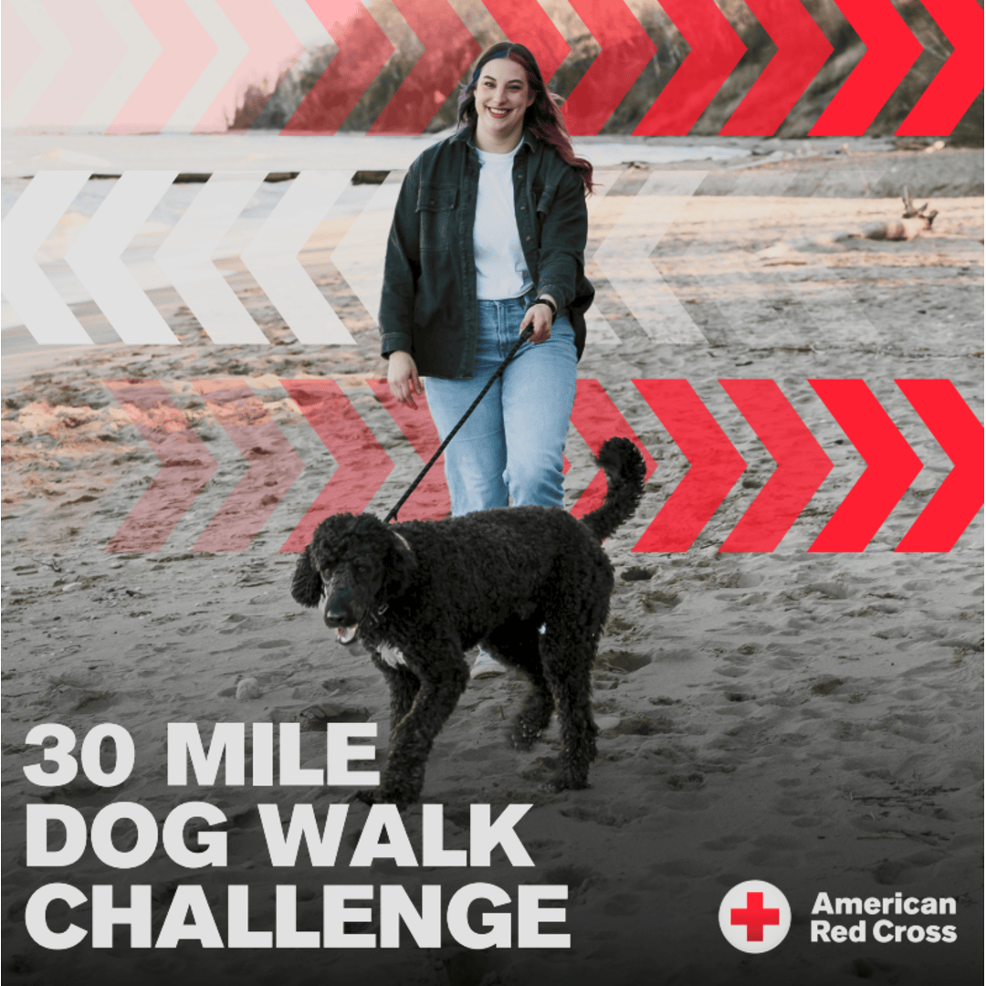 Cute black, tan and white furry dog wearing a Red Cross bandana