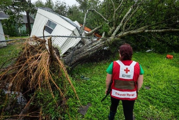 volunteer viewing damage from fallen tree