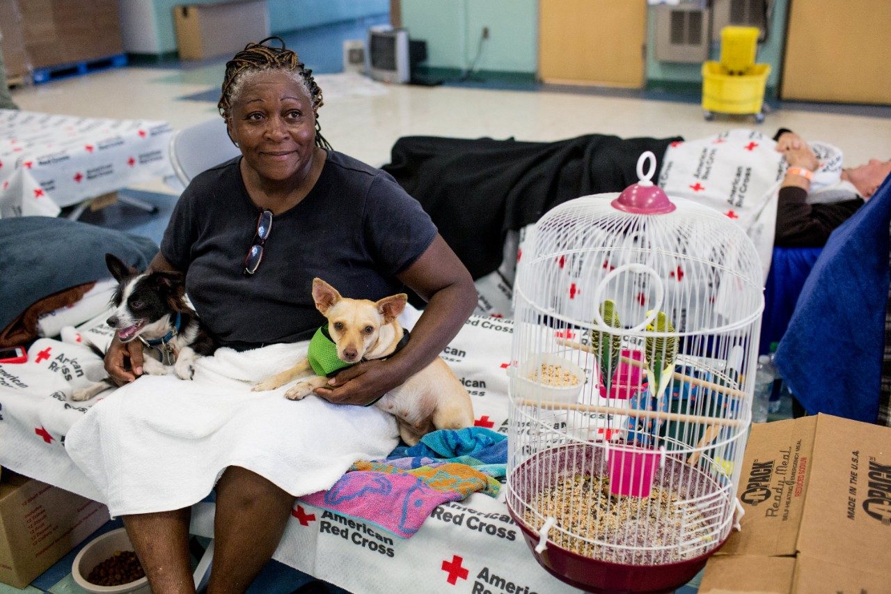 A woman stays at a Red Cross shelter with her dog and bird