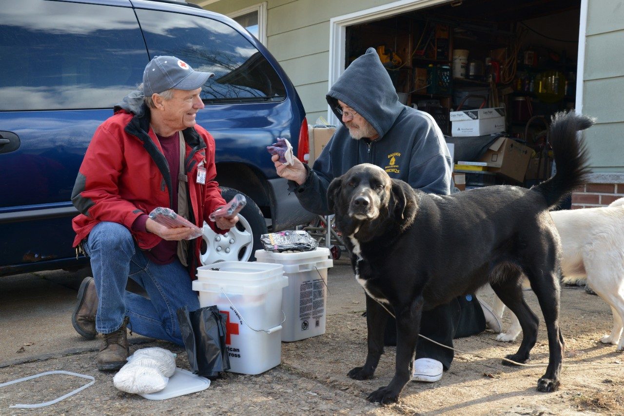 volunteer, man and dog