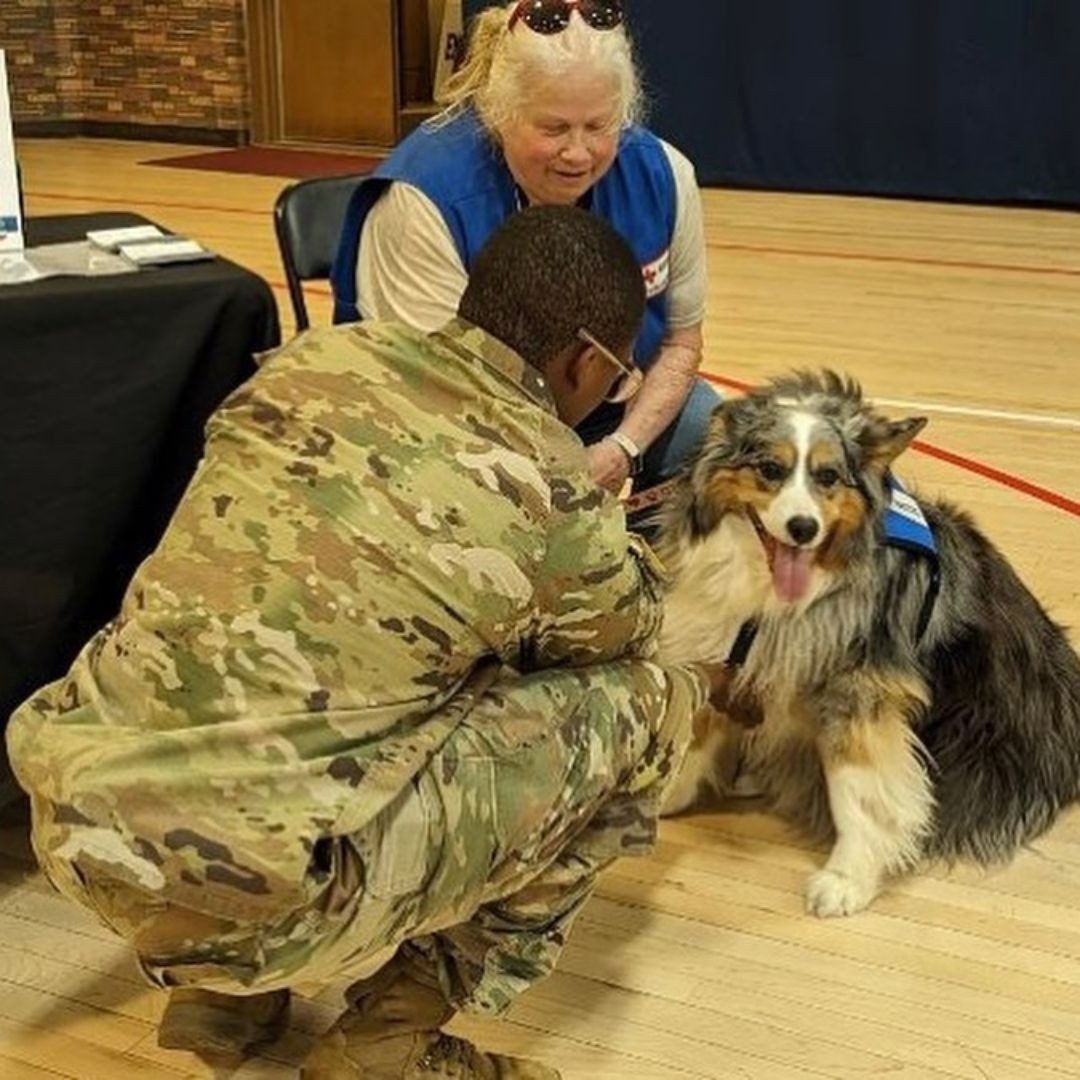 saf volunteers with dog
