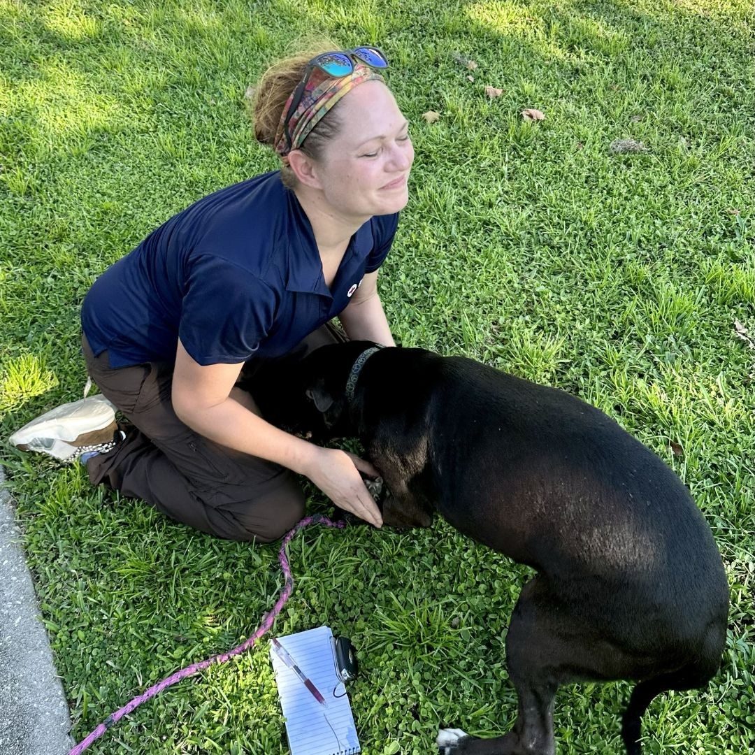 pet and family member in grass playing