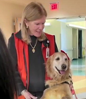 Red Cross volunteers Glory and his owner Todd
