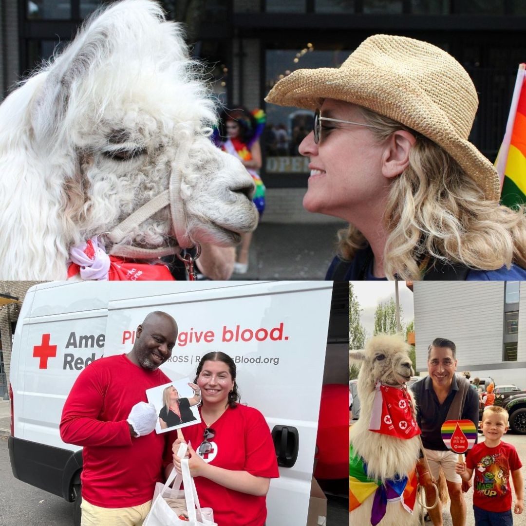 collage of photos from pride parade and blood drive