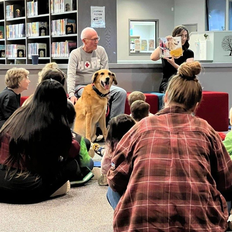 Red Cross volunteer with dog sitting in front of a classroom of students and parents.