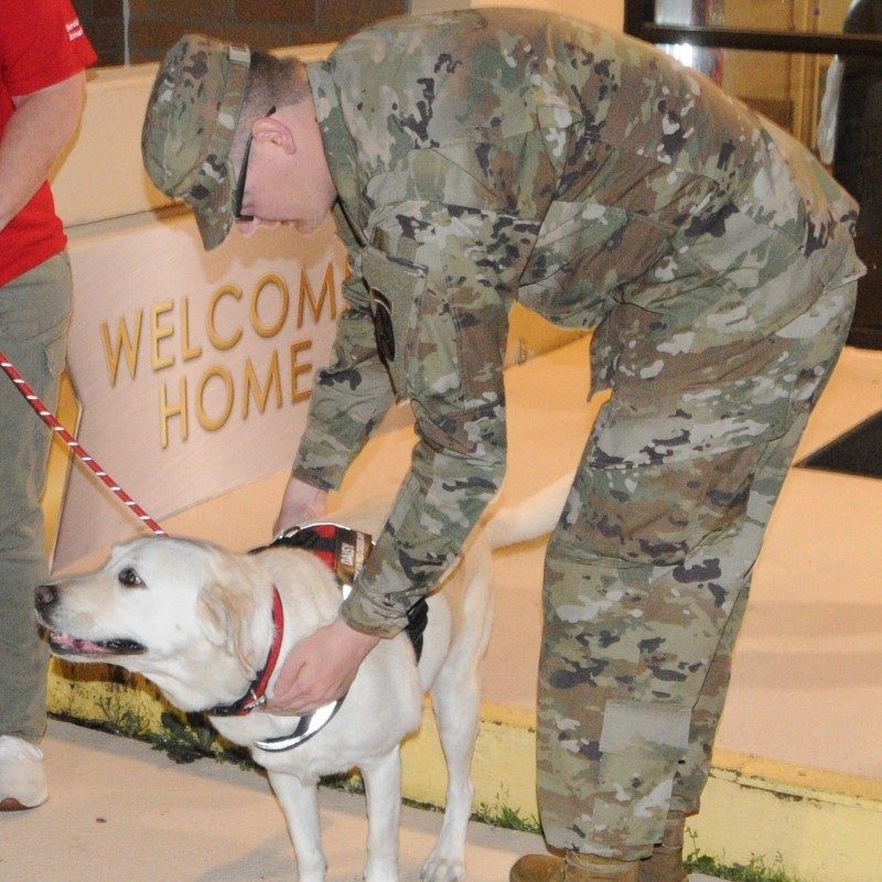 Service member in uniform petting a dog.