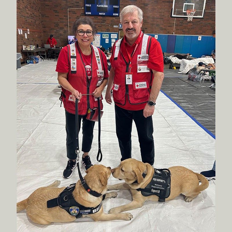 two Red Cross volunteers standing next to two service dogs.