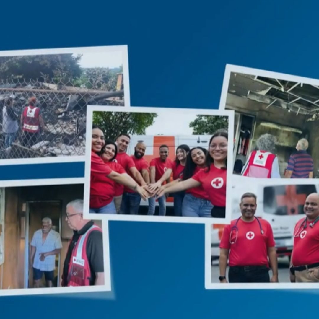 Collage de voluntarios de la Cruz Roja