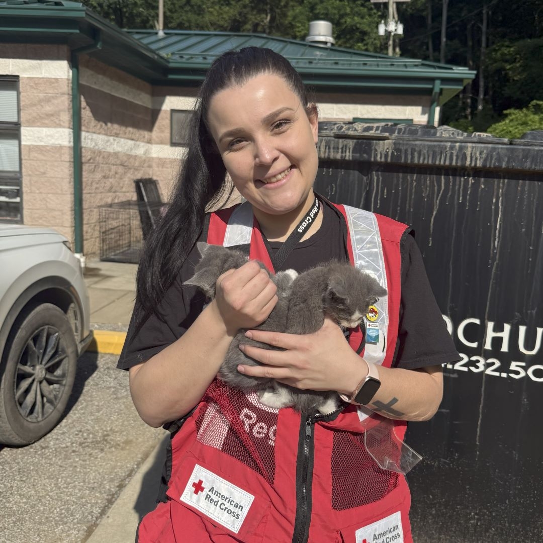 woman in Red Cross vest holding kitten