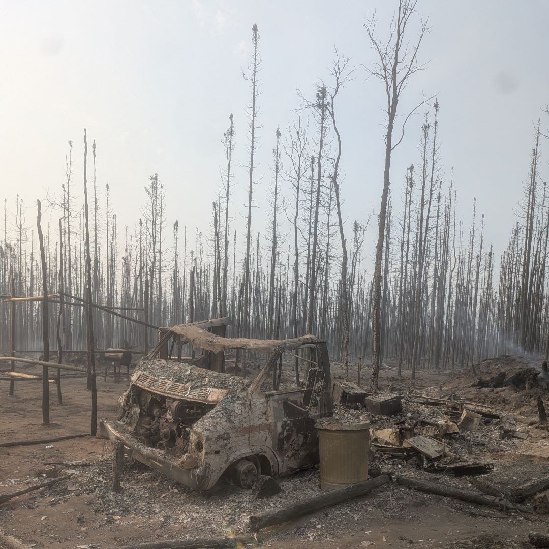 damage from wildfire