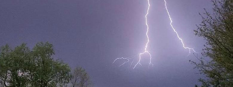 Lightning bolt above trees.
