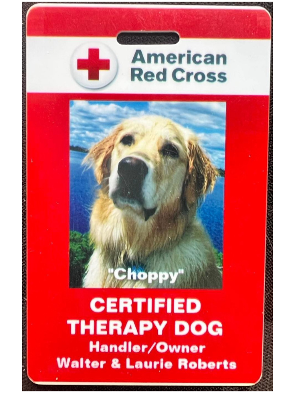 Dog choppy identification tag