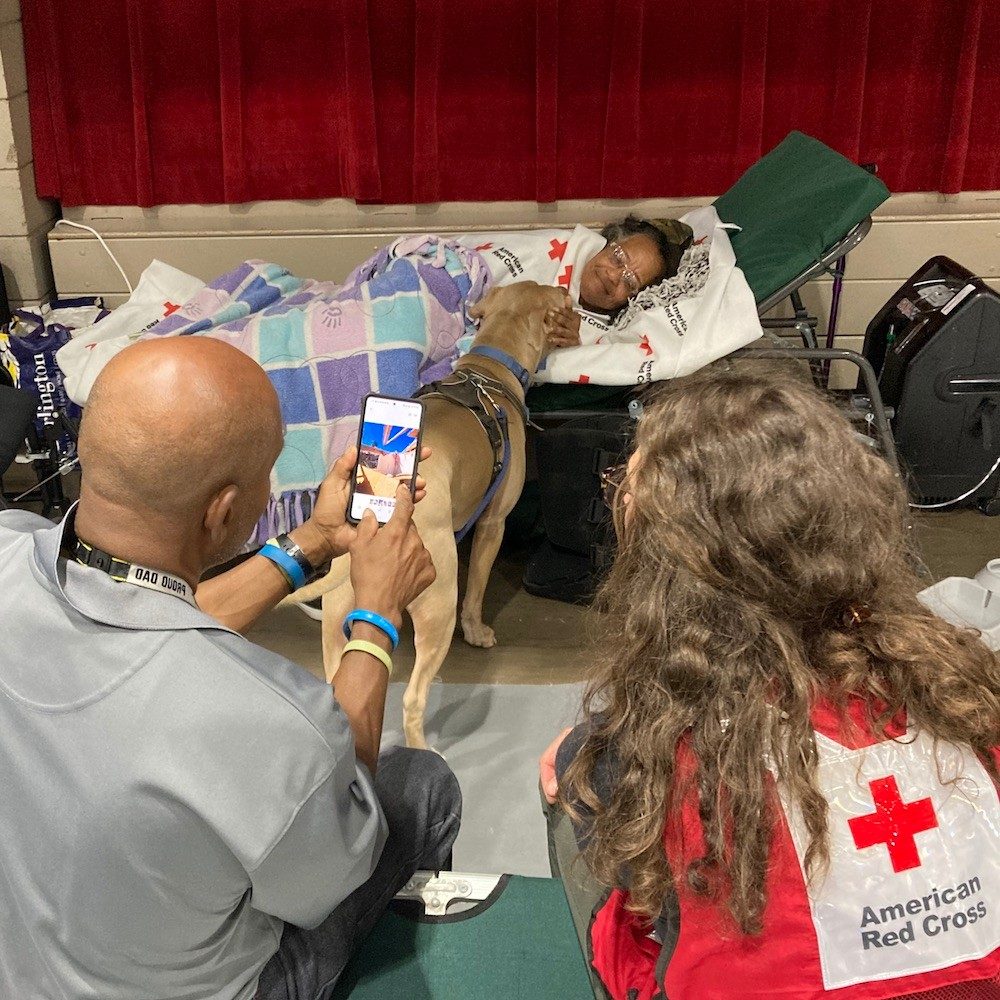 Mark and Sharon Taylor's dog greeting a woman on a cot in shelter