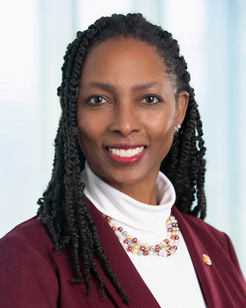 Tochi Iroku-Malize headshot.