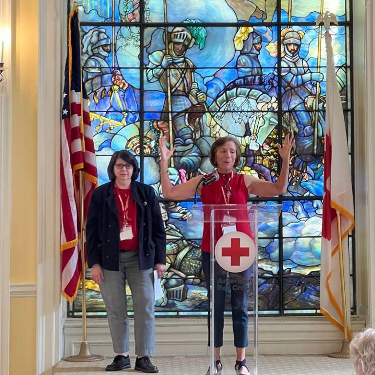 Sue speaking to a group with a person next to her at a podium.