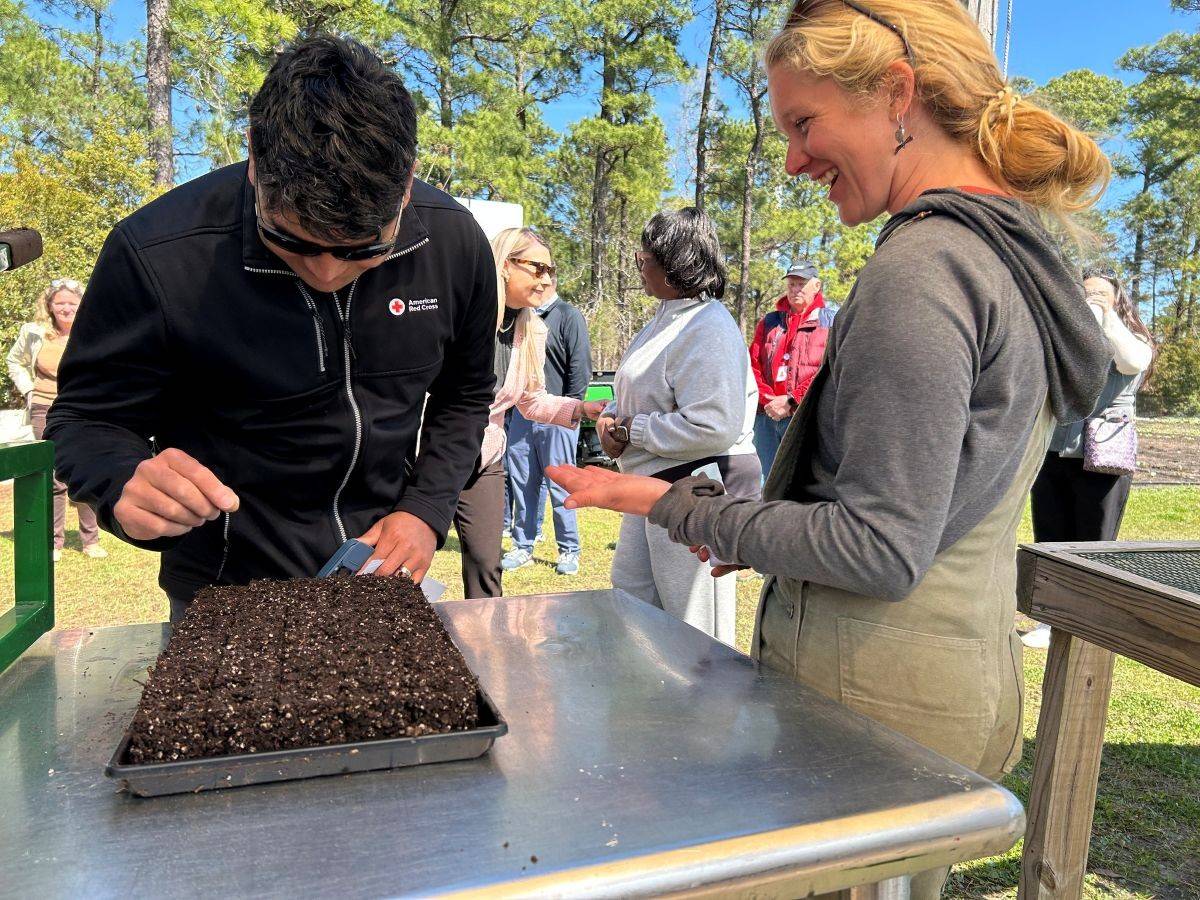 A person planting a flower wearing  red cross sweater