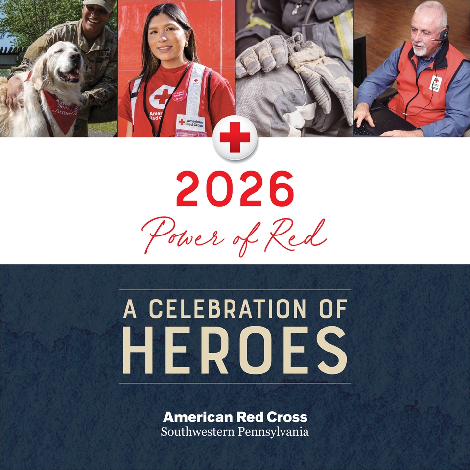 Shelter Heroes banner.