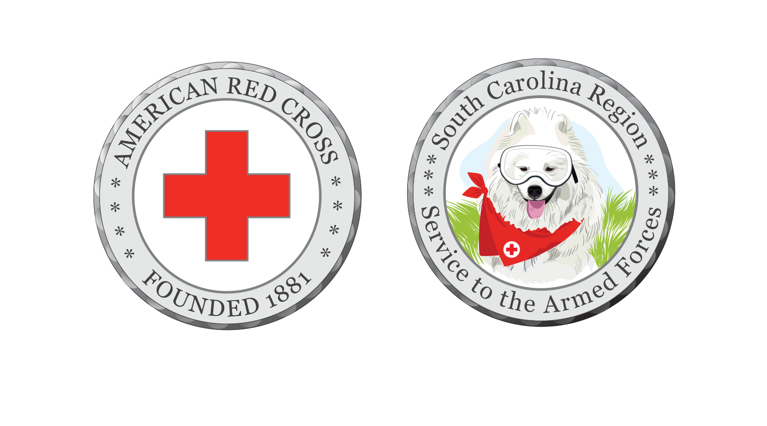 challenge coins for the south carolina region
