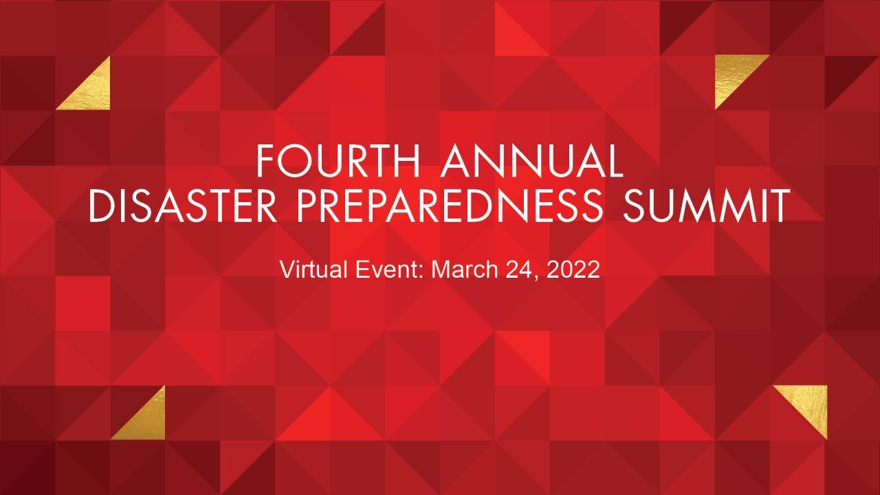 Fourth Annual Disaster Preparedness Summit Banner - Red with Geometric Abstract Design