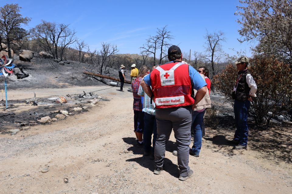 Group of Red Cross volunteers surveying wildfire damaged site