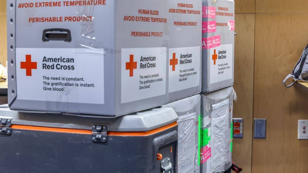 Boxes of donated blood