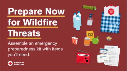 Prepare Now for Wildfire Threats infographic
