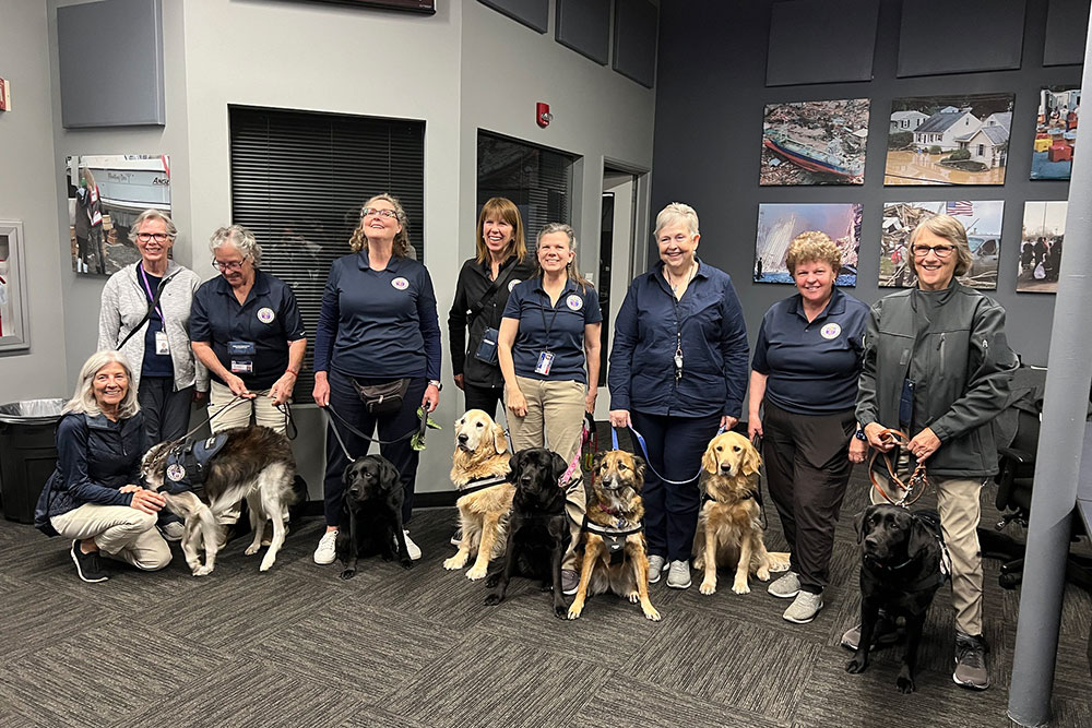 group pic of service dogs with their trainers in a room.