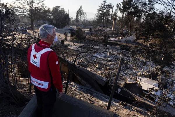 Red Cross volunteer looks out over damage from LA wildfires