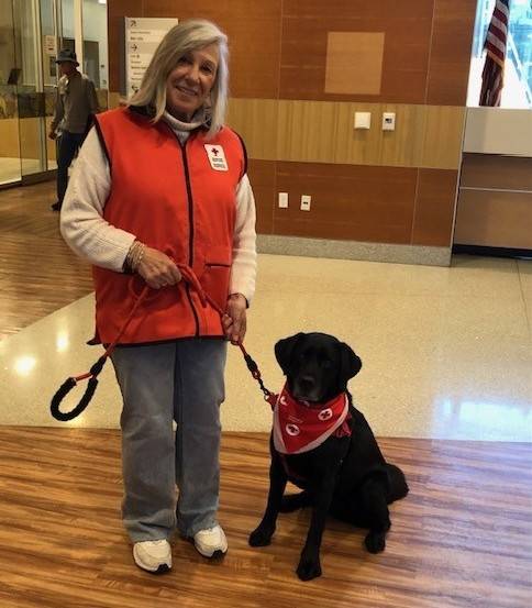 Red Cross volunteer and therapy dog during visit
