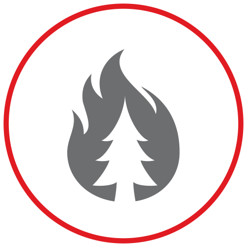 Fire and forest tree icon