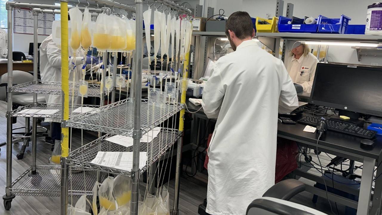 person working in red cross lab
