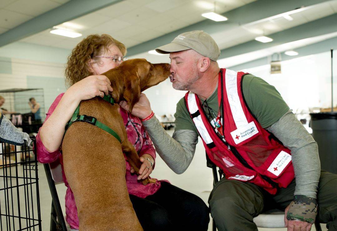 Woman holds dog in Red Cross shelter while dog greets Red Cross volunteer