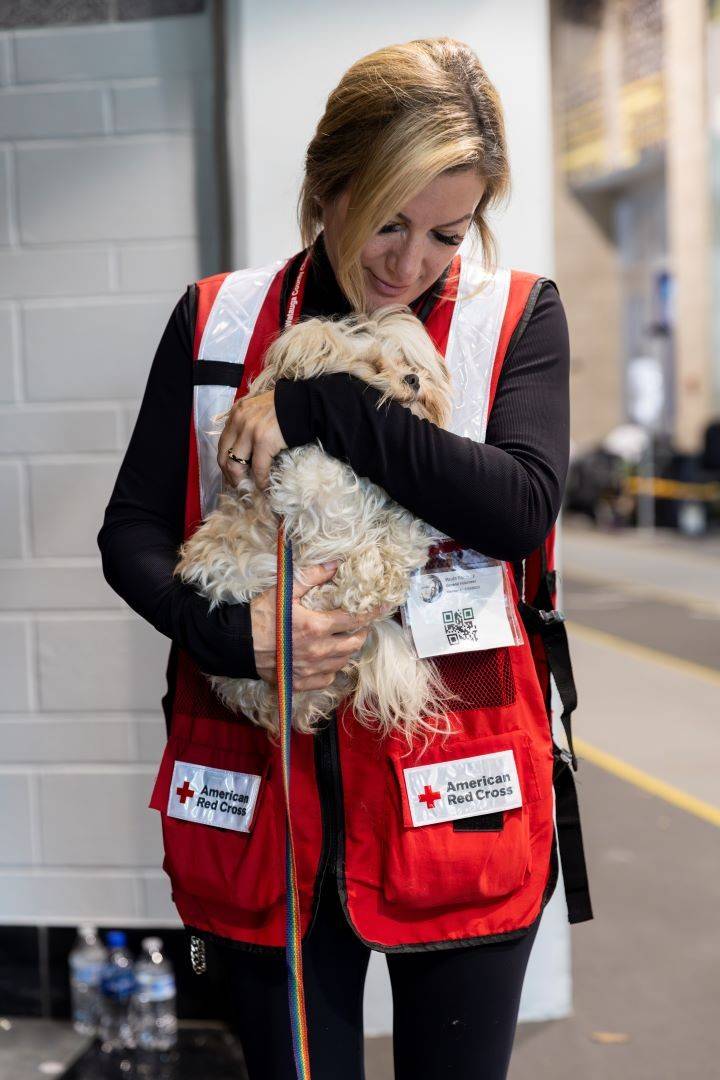 Woman in Red Cross vest holds small dog in her arms